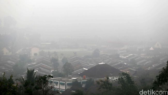 Luhut Enggan Beri Informasi Pembakar Hutan ke Singapura