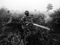 KLHK Duga Korporasi Sengaja Libatkan Warga untuk Bakar Hutan
