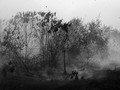 Kebakaran Hutan Mematikan di Tennesee karena Ulah Manusia