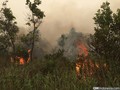 TNI: Operasi Kabut Asap Pesawat Asing di Bawah Komando BNPB
