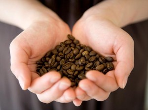 Harga Biji Kopi Tinggi, Petani di Pagar Alam Beli Motor