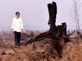 PK Jokowi di Kasus Karhutla Dinilai Bakal Sia-Sia