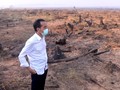 Jokowi Minta Tak Ada Kompromi Bagi Perusahaan Pemicu Karhutla