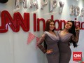 Peran Mulia Orang Tua bagi Duo Serigala