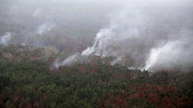 WALHI Siapkan Gugatan ke Perusahaan Pembakar Hutan