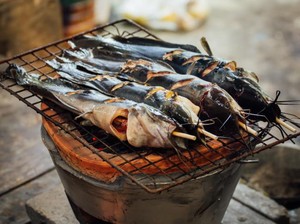 Hukum Makan Ikan Lele yang Diberi Pakan Bangkai atau Kotoran Manusia