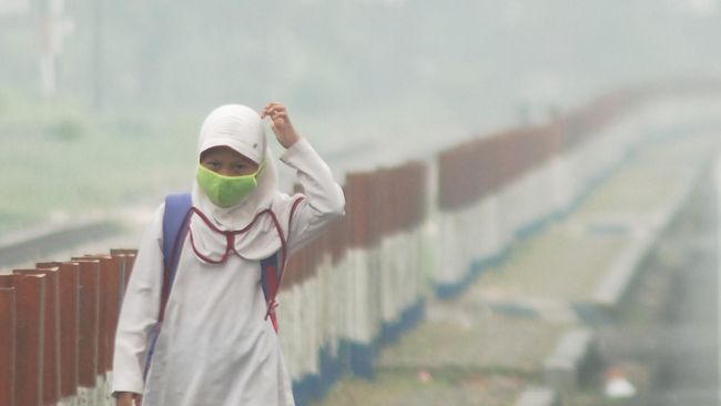DPR Minta KLHK Evaluasi Penyetopan Penyidikan Kebakaran Hutan