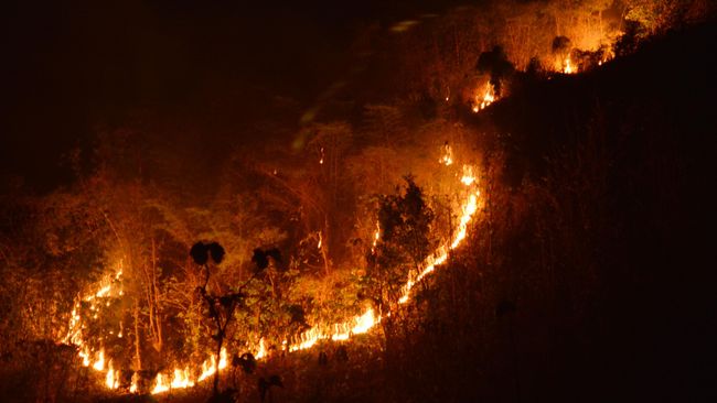 Kebakaran di Gunung Lawu Meluas, Pendakian Resmi Ditutup