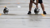 Seperti halnya tim Merceders dan Williams, kru dari tim Red Bull pun berusaha mengeringkan lintasan di pit tim balapnya usai hujan. (REUTERS/Adrees Latif)