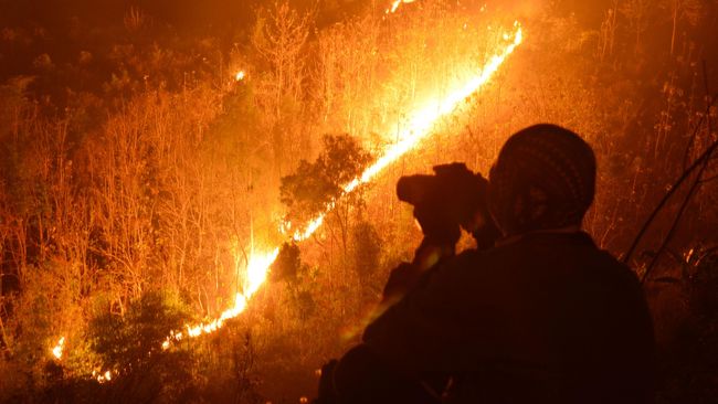 Kongres Kehutanan Indonesia Digelar Akhir Tahun 2016