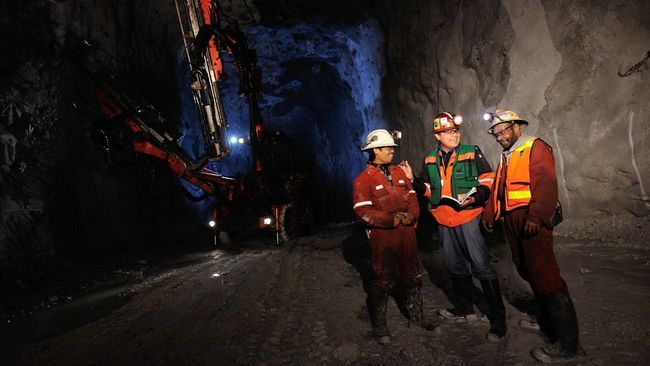 IUPK Sementara untuk Freeport Dinilai Punya Tiga Cacat Hukum