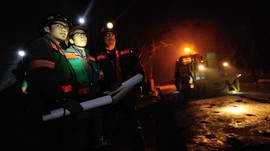 Freeport Didenda Rp460 Miliar Gunakan Lahan Hutan Tanpa Izin