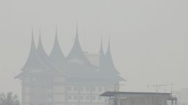 Luhut: Teknik Bom Air Tidak Efektif Padamkan Api