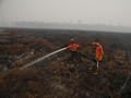 Polri Limpahkan Berkas Tersangka Korporasi Pembakar Hutan