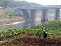 Reforma Agraria Jokowi Disebut Akan Terhambat Aksi Korporasi