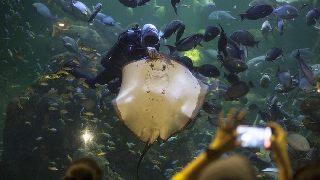 4400 Koleksi Wahana Hantu Laut Gratis Terbaru