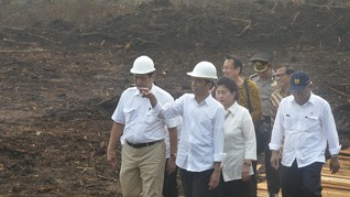 Pemadaman Kebakaran Hutan RI Diacungi Jempol Parlemen Jerman