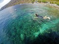 Olele, Taman Laut Cantik yang Menunggu Dijamah Turis