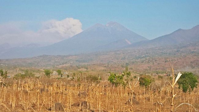Abu Vulkanik Gunung Barujari Sampai di Mataram