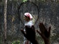 Pembunuhan Rohingya, Tentara Tembak Dulu Baru Bertanya