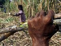 Ratusan Buruh Apel Siaga Jelang Mogok Nasional di 200 Kota