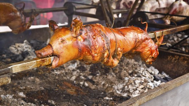 86 Gambar Babi Panggang Paling Keren 86 Gambar Babi Panggang Paling Keren