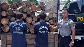 Polisi Gagalkan Penyelundupan 40 Ton Kayu Ilegal