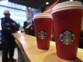 Putri Duyung Starbucks Rangkul Burung Indonesia