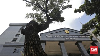 Terbukti Korupsi, Eks Kadis PU Papua Divonis 5,5 Tahun Bui