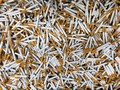 BPS: Kemiskinan Berkurang Bila Konsumsi Rokok Dikurangi