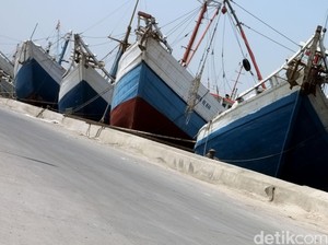 Rehabilitasi Pelabuhan Teluk Palu Selesai, Ekonomi Siap Digeber