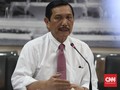 Luhut Yakin Proyek BBM Hijau Bisa Kerek Harga Sawit 50 Persen