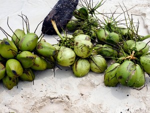 9 Manfaat Air Kelapa Muda bagi Kesehatan Tubuh, Apa Saja?