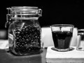 Hitam Putih Kopi Luwak