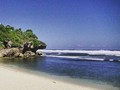 Jelang Libur Lebaran Gunung Kidul Antisipasi Invasi Ubur-ubur