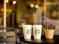 Laba Induk Starbucks Indonesia Turun 53 Persen di Semester I