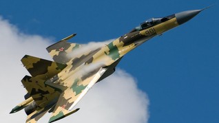 Kemenhan Sebut Keputusan Pembelian Sukhoi di Tangan Jokowi