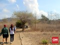 Ketika Komodo Berkumpul di Kolong Dapur