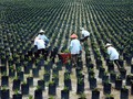 Ganjal Pajak Progresif Sawit, Parlemen Perancis Diajak ke RI