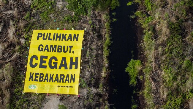 BRG Bantah Tudingan Sumur Bor Fiktif di Kalteng