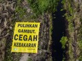 Bara di Hutan Riau