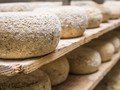 Casu Marzu, Keju yang Dimakan Bersama Belatung Hidup