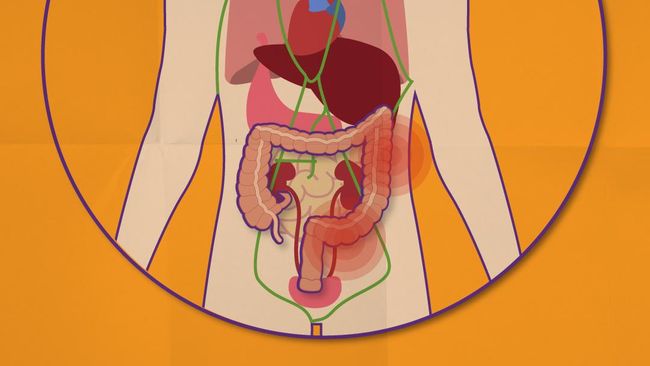 Melihat Tanda Kelainan Pada Usus Lewat Buang Air Besar
