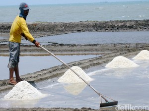 Lampaui Target, KKP Sebut Produksi Garam Nasional Capai 2,5 Juta Ton