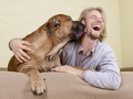 Memelihara Anjing Bikin Pria Lebih Menarik di Mata Wanita