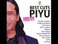 Piyu 'Padi' Siapkan Album Kompilasi