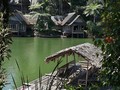 8 Telaga Tersembunyi di Depok