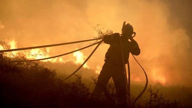 Ganti Rugi Rp1 Triliun, National Sago Prima Ajukan Banding