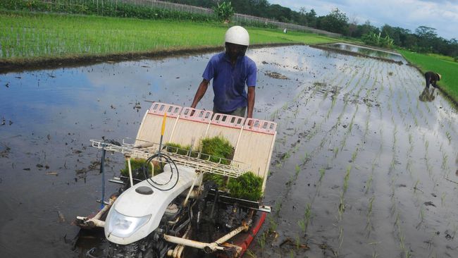 Reforma Agraria Jokowi Disebut Akan Terhambat Aksi Korporasi