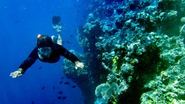 Menjaga Kekayaan di Taman Nasional Bunaken